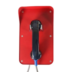 Termit PublicPhone AHS200K1-2G - Антивандальный телефон