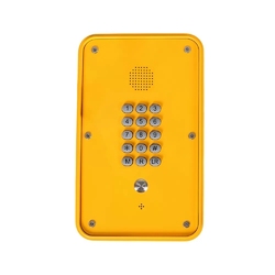 Termit PublicPhone WHF101FK-IP - Всепогодное IP переговорное устройство