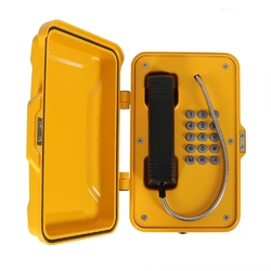 Termit PublicPhone WHS100FK-IP - Всепогодный защищенный телефон