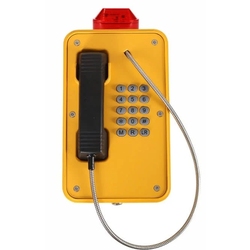 Termit PublicPhone WHS101FK.B-4G - Всепогодный телефон