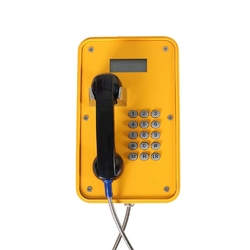 Termit PublicPhone WHS102FK-AT - Всепогодный телефон