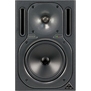 BEHRINGER TRUTH B2030A
